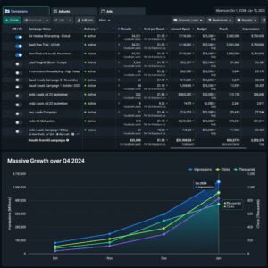 Facebook Ads Manager Live Results Image-social media marketing case studies