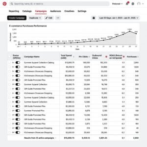 Pinterest Ads Manager Live Results Image-social media marketing case studies