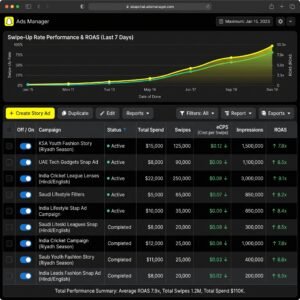 Snapchat Ads Manager Live Results Image-social media marketing case studies