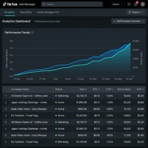 TikTok Ads Manager Live Results Image-social media marketing case studies
